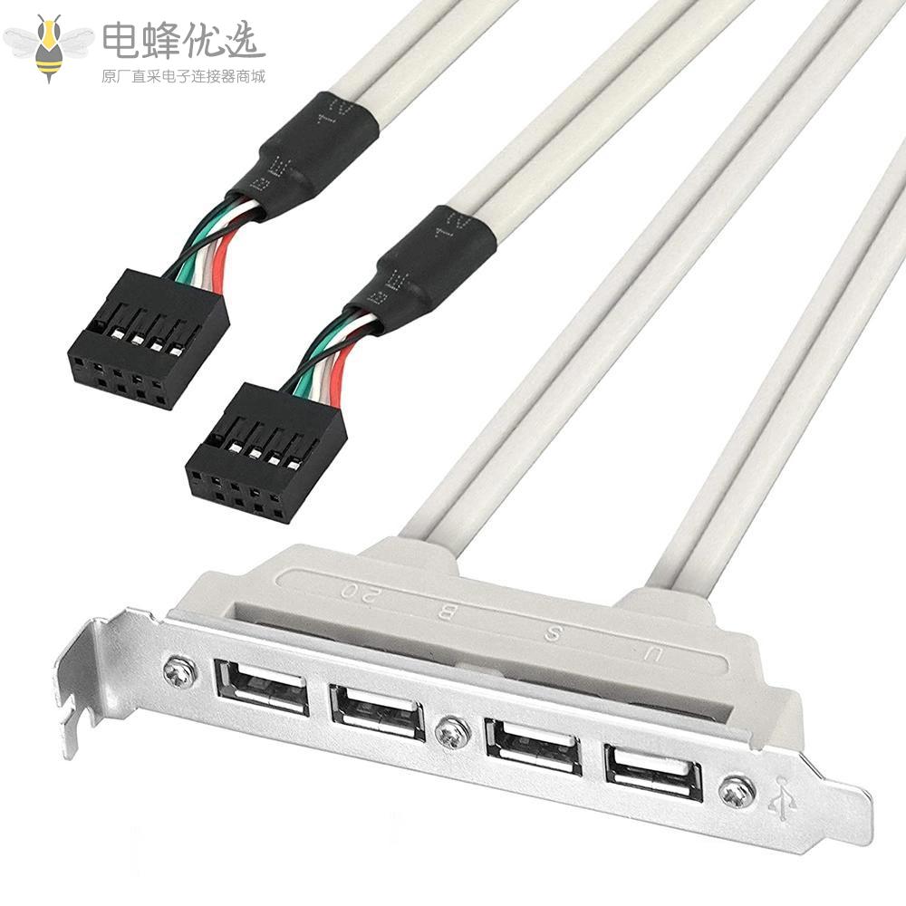 IDC_10P母头转4端口USB_A型母头插槽板面板接头支架适配器线后部延长线接30厘米线缆