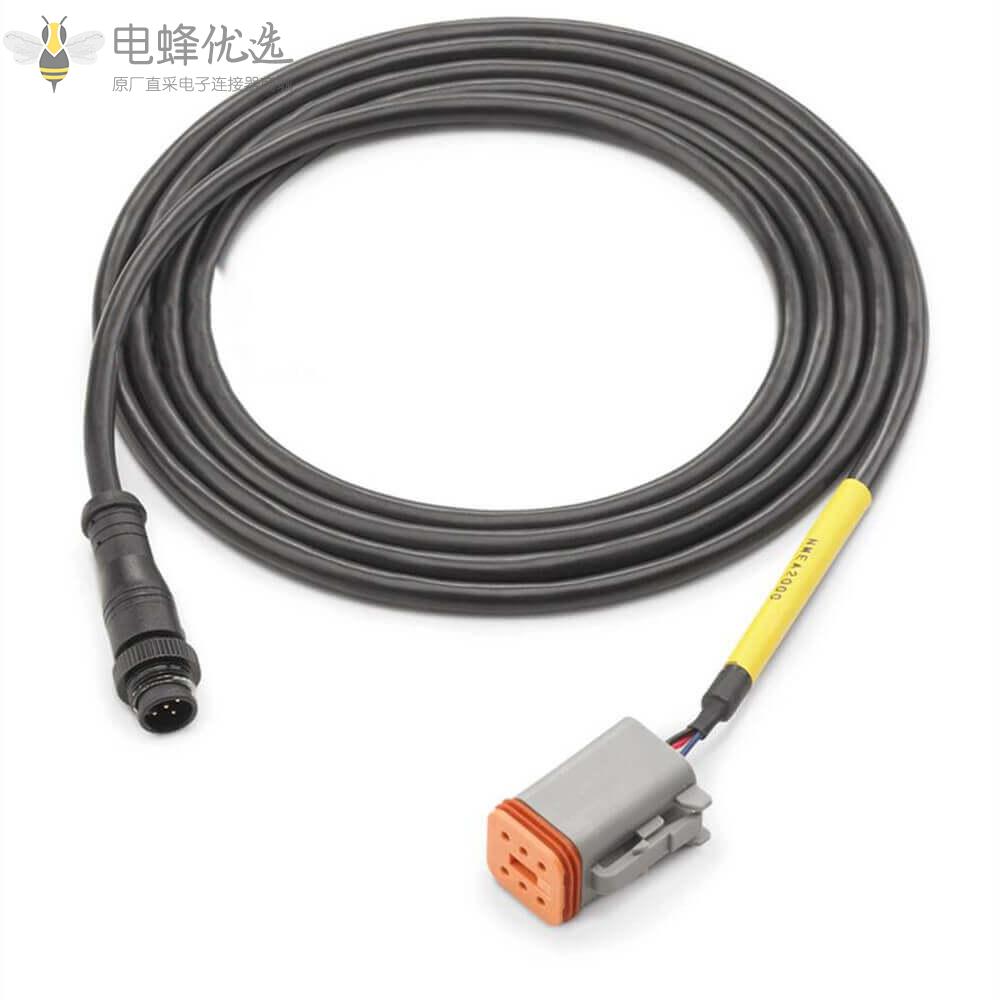 电蜂型Dt06_6S转M12公头5芯Nmea_2000线材